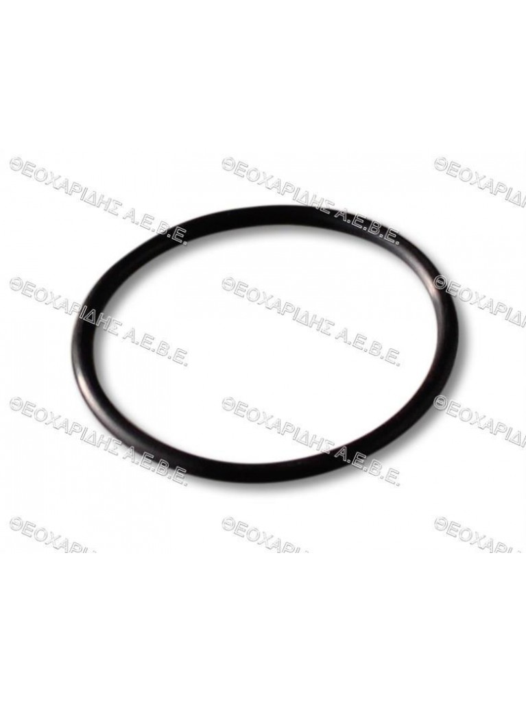O-RING 12100122 COMET BP105-125